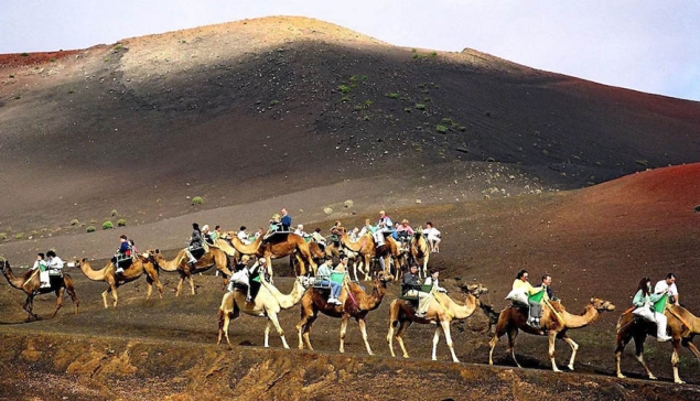 Camel Safari Park La Baranda